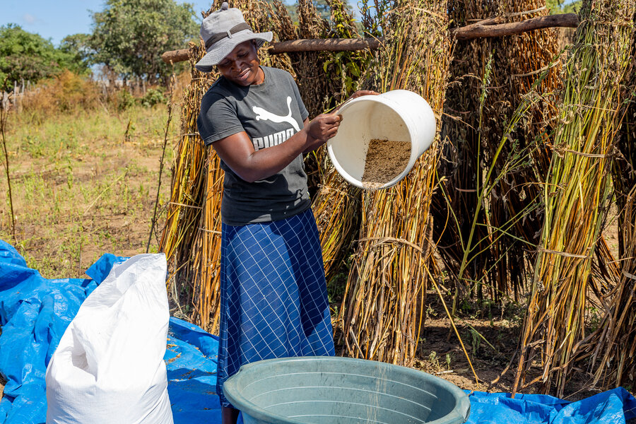 A woman in a grey hat and T-shirt pours sesame seeds into a container. Photo: WFP/Viktor Moyo