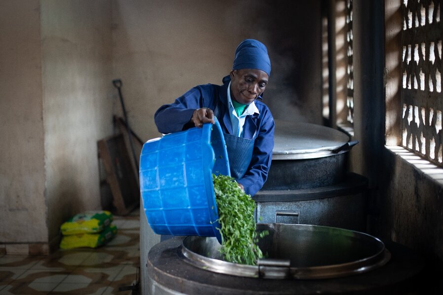A cook in a blue uniform dumps a spinach into a large steel pot. Photo: WFP/Lisa Murray