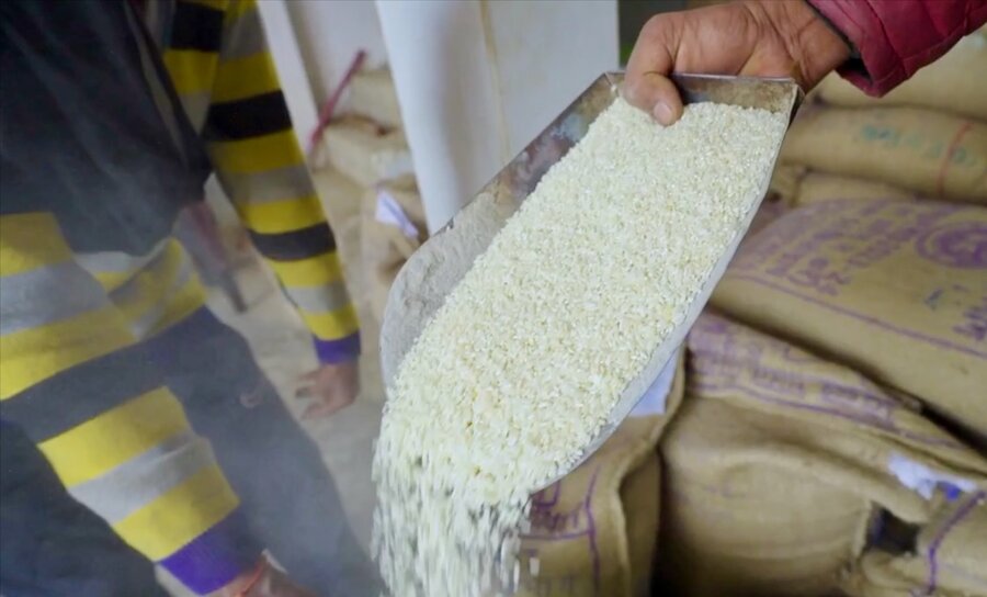 Rice being poured out from a metal scoop. Photo: WFP