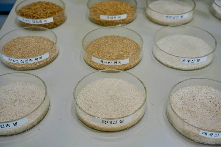Small labeled glass dishes of rice grains of various colours. Photo: WFP/Yanghae Won