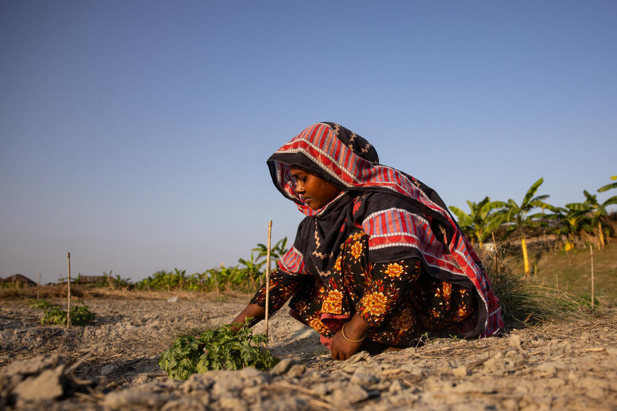 A woman in a colourful headscarf tends to her vegetables in a wide sandy field. Photo: WFP/Samantha Reinders