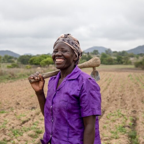 Person in a purple shirt stands in a field holding a hoe over the shoulder with hills in the background.