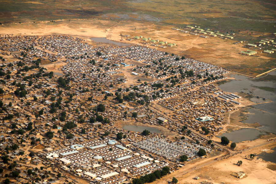 An aerial view of the northeastern Nigerian town of Dikwa, surrounded by sandy scrub. Photo: WFP/Nommiyid Chantu