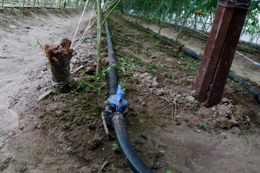 A close-up of an irrigation system inside a greenhouse in Kyrgyzstan. Photo: WFP 