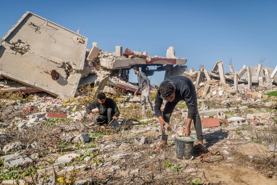 Men clean up a rubble-strewn field, backdropped by a destroyed building. Photo: WFP/Maxime Le Lijour