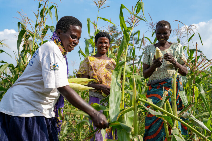 Smiling women tend to a maize field. Photo: WFP/Daisy Masembe