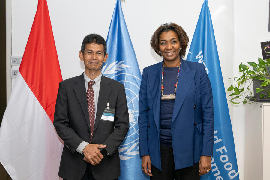 Two officials shake hands in a UN office, standing between flags including the United Nations emblem and a national flag, during a formal meeting.