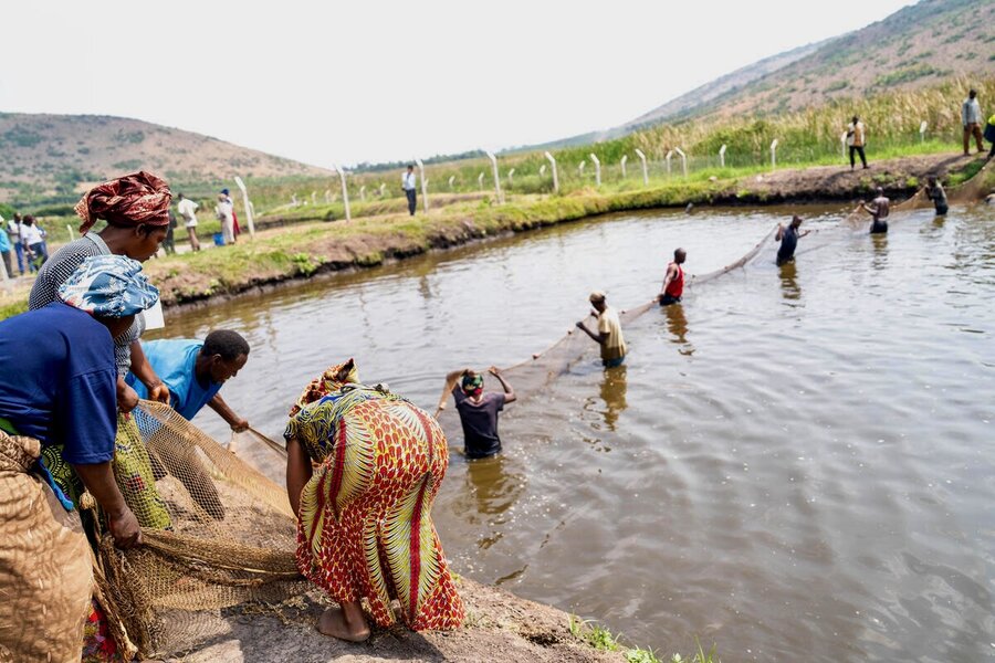 Men and women drag a large net across a pond to capture fish. Photo: WFP/Amone Okello