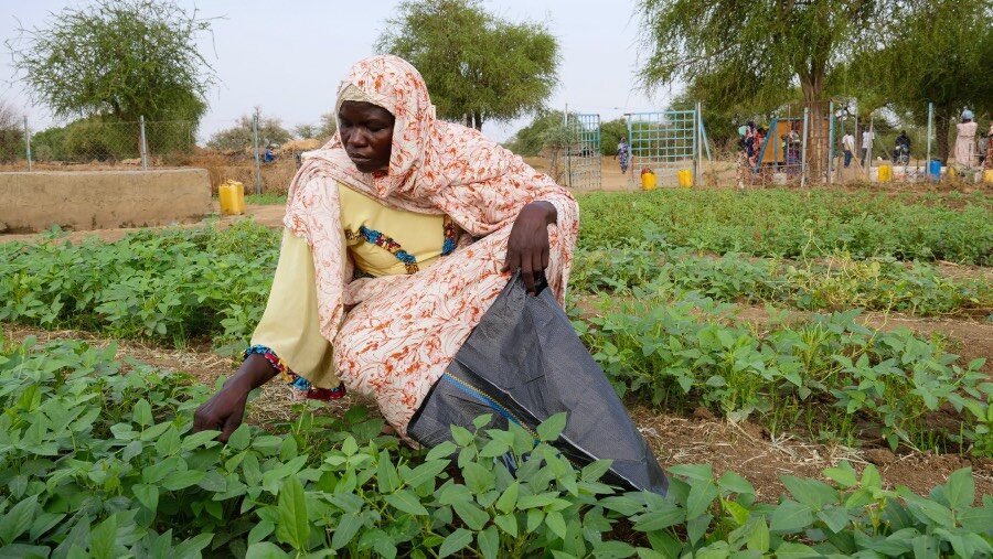 A woman in a pink headscarf bends over rows green plants, backdropped by a village and trees in the Sahel. Photo: UNEP/Malachie Nabbi 