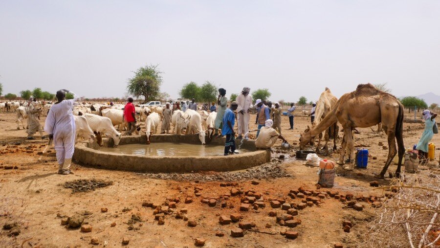 Men in long robes with their cattle and camels at a water hold surrounded by sandy land and a few trees in the horizon. Photo: UNEP/Malache Nabbi
