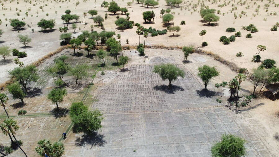 Aerial footage of dry land scattered with trees. Photo: WFP/Aristide Dingamdoum