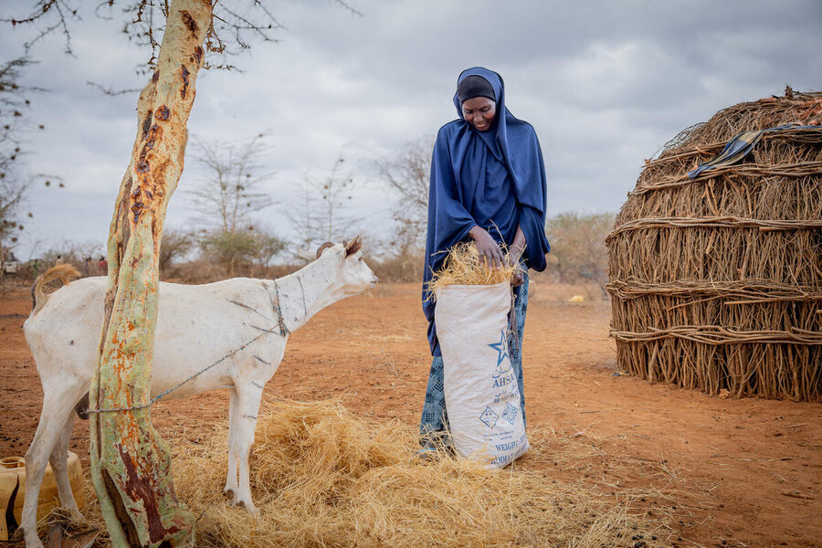 A woman in a long blue dress and headscarf feeds her goat with dried grass, with a straw hut and cloudy skies in the background. Photo: WFP/Dennis Matendechere