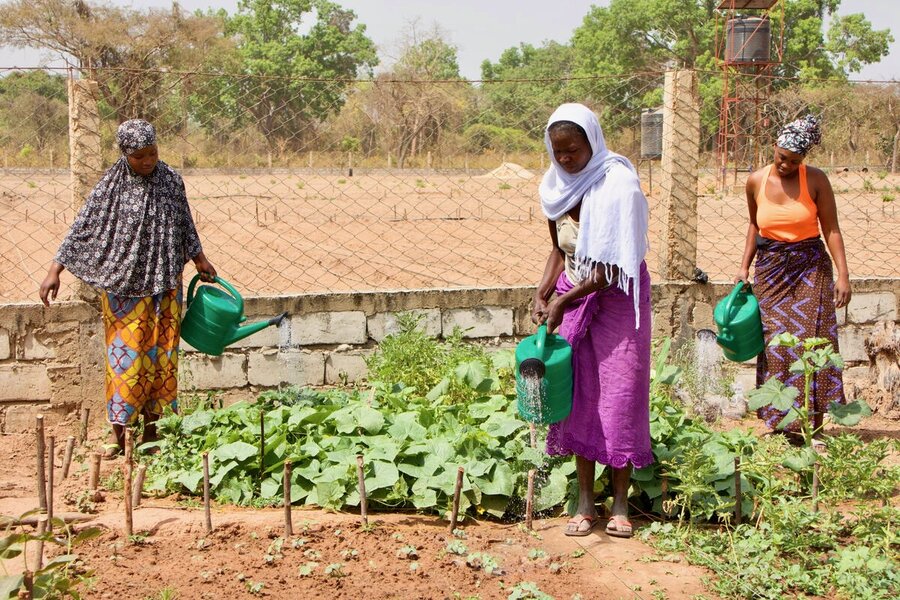 Women in long dresses and scarves water a community garden. Photo: WFP/Nhetem Incute
