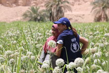 WFP Goodwill Ambassador Hend Sabry visits climate change adaptation projects in Egypt 