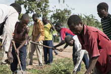 Men working in a field