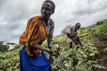 Photo: WFP/ Photogallery, family in a vegetable garden in Budi eastern Equatoria