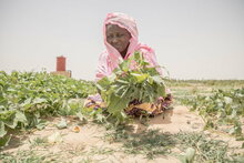 Photo: WFP/ Simon Pierre Diouf