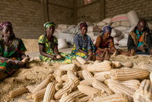 Photo: WFP/Tara Crossley, Participants in a WFP supported "Purchase for Progress” (P4P) program in Bunynagula, DRC.