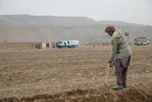Photo: WFP/Julian Frank, People Farming in Balkh Province with WFP Convoy in Background
