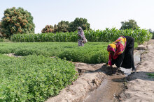  Empowering rural women: joint UN programme's new phase to target countries in Africa, Asia, and the Pacific 