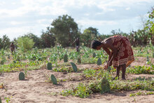 Photo: WFP/SITRAKA NIAINA RAHARINAIV