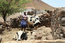 Cabo Verde faces spike in food insecurity as a result of drought, Covid-19 and the crisis in Ukraine