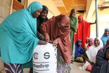 Women in Gashua storing their grains in hermetic bags