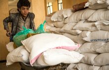 A boy pushes a wheelbarrow containing food rations. 