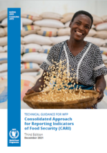 Consolidated Approach for Reporting Indicators of Food Security (CARI) Guidelines