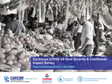 Caribbean COVID-19 Food Security & Livelihoods Impact Survey - Round 1