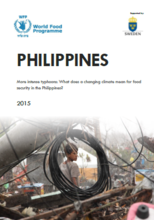 Philippines - More intense typhoons: What does a changing climate mean for food security in the Philippines? February 2015