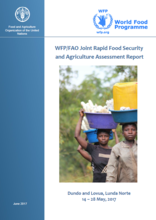 Angola - WFP/FAO Joint Rapid Food Security and Agriculture Assessment Report: Dundo and Lovua, Lunda Norte, June 2017