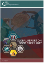 Global Report on Food Crises 2017