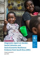 Diagnostic report on Gender, Social Cohesion & Socio-Economic Resilience: evidence from South Kivu 