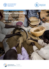Hunger Hotspots: FAO-WFP early warnings on acute food insecurity (March to July 2021 outlook)