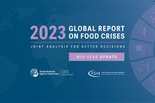 Global Report on Food Crises 2023 Mid-Year Update