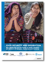 2017 - Food security and emigration - El Salvador, Guatemala and Honduras