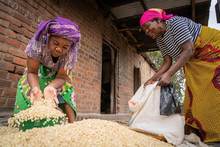 INSIGHT: How WFP is changing lives and building people's self-sufficiency