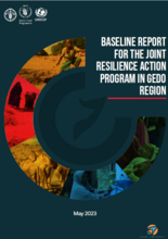 Somalia, Independent, Quasi-experimental Evaluation of Joint Action for Building Resilience