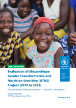 Mozambique, Gender Transformative and Nutrition Sensitive (GTNS) Programme: Evaluation