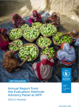 Evaluation Methods Advisory Panel at WFP – 2023 in Review