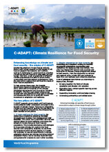 2017 -  C-ADAPT : Climate Resilience for food security