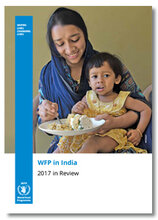 2017 - India Annual Review