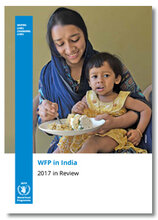 2017 - India Annual Review