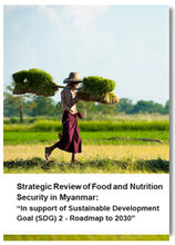 Strategic Review of Food and Nutrition Security in Myanmar: In support of Sustainable Development Goal (SDG) 2 - Roadmap to 2030