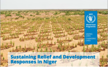 Sustaining Relief and Development Responses in Niger
