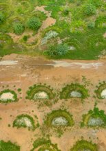 Integrated Resilience in the Sahel