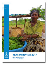 2017 - Malawi - Year in Review
