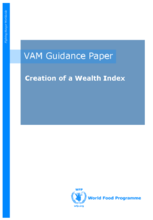 Creation of a Wealth Index, June 2017