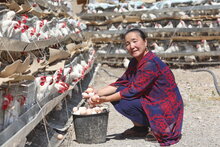 What WFP is doing in the Kyrgyz Republic